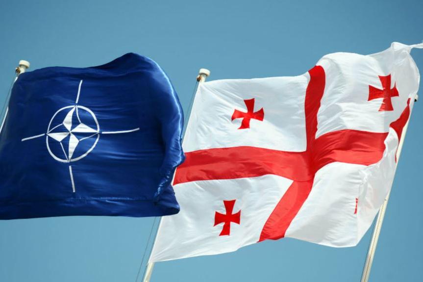 Грузию могут принять в НАТО, чтобы надавить на Россию - российский сенатор