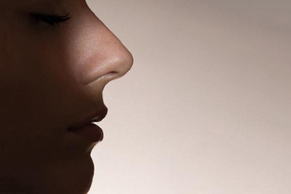 Искусственный интеллект получил нос: как машина воспринимает запахи