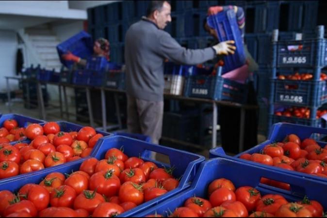 Турция освободила импорт товаров из Нахичевана от таможенных пошлин