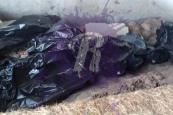 Главврач прокомментировал мешки для трупов возле больницы в Коммунарке