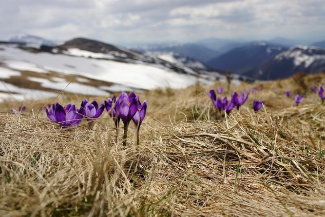 В ближайшие дни в Армении ожидаются теплые и солнечные дни