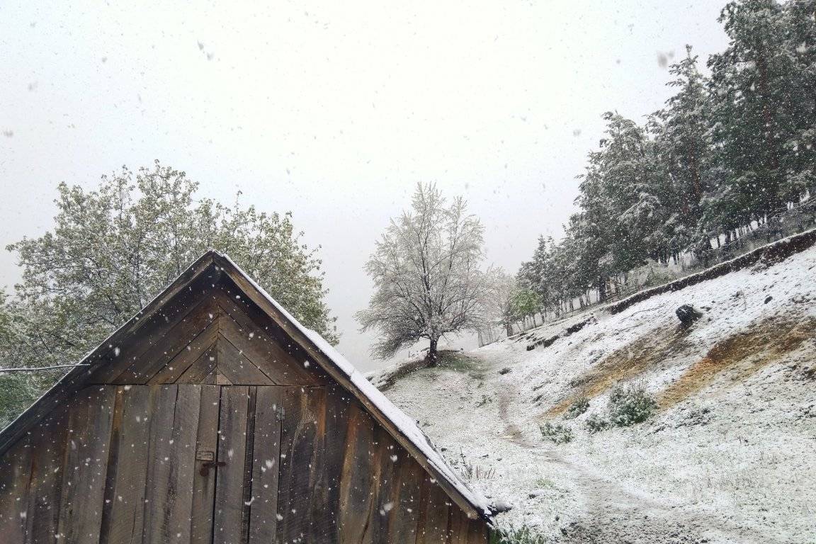 Погода в Армении: майский снег 