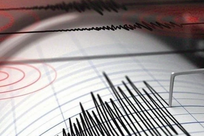В Турции произошло новое землетрясение магнитудой 4,8