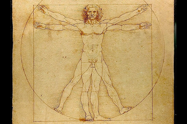 Неожиданное открытие: Леонардо да Винчи на 100 лет опередил Ньютона с законом всемирного тяготения