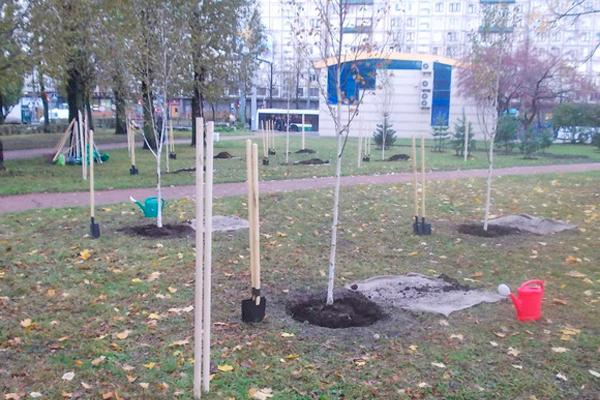 15 апреля в Ереване пройдёт общегородской субботник