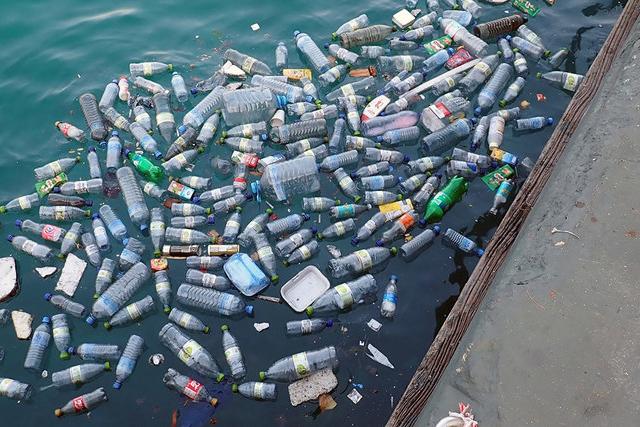 Доклад ВОЗ: вред от микрочастиц пластика в питьевой воде не доказан