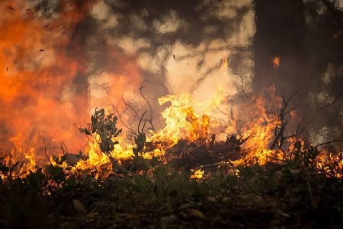 За последние дни в Армении зафиксирован беспрецедентный рост пожаров: глава МЧС