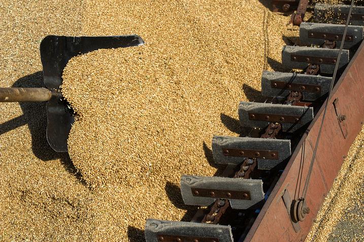 Грузия вводит ограничение на импорт зерна