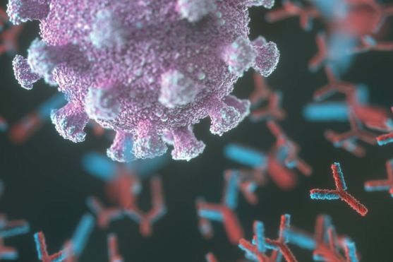 ВВС: что ученые узнали об иммунитете к Covid-19 за полгода, прошедшие с начала пандемии? 