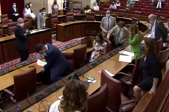 Крыса сорвала заседание парламента в Андалусии