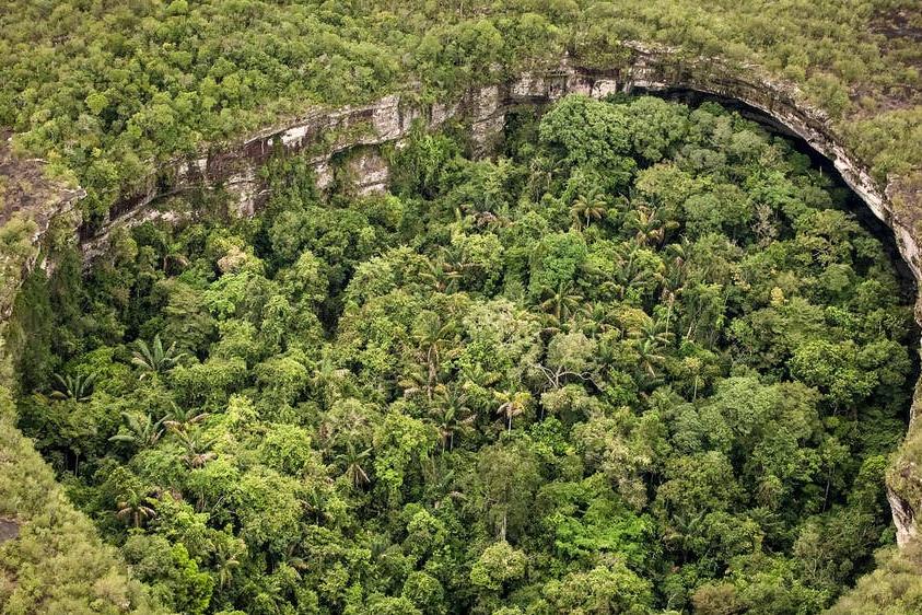 Обнаруженное археологами в джунглях Гондураса заброшенное поселение может таить в себе невероятные открытия