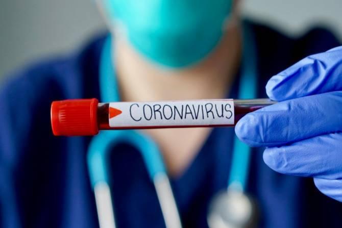 Уже 235: в Армении зарегистрирован 41 новый случай коронавируса