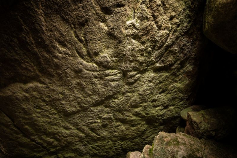 В Шотландии случайно обнаружили высеченное в камне изображение животных, которому может быть несколько тысяч лет