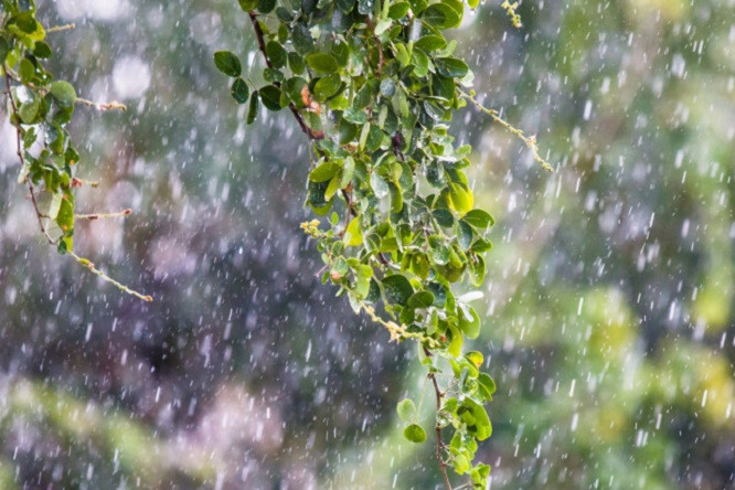 Погода в Армении: кратковременные дожди с грозами, снижение температуры воздуха