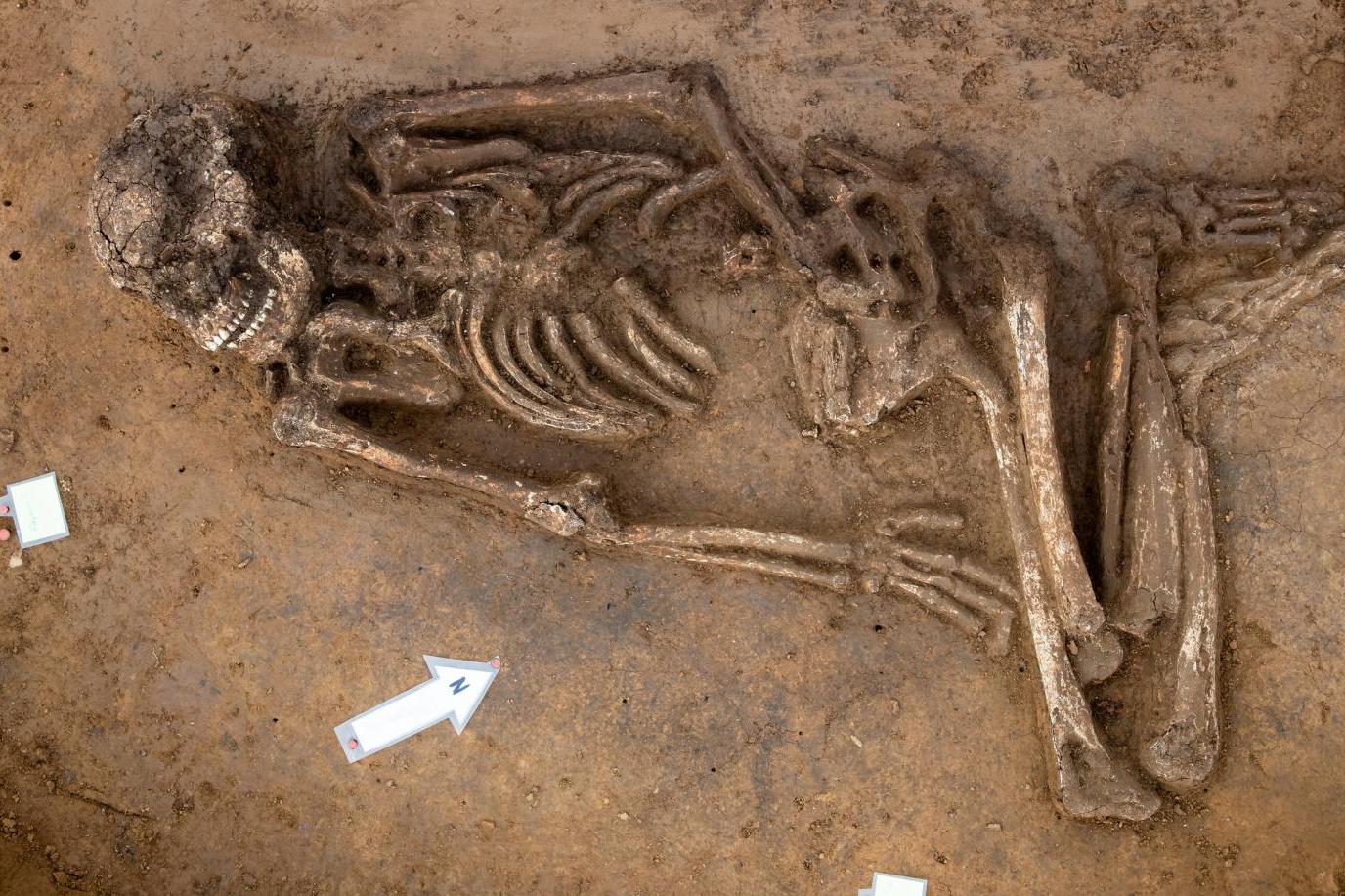 Человек эпохи неолита: в Баварии найден скелет возрастом 6,5 тысяч лет