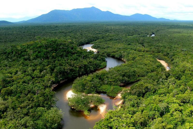 Ущерб, наносимый лесам Амазонки в результате незаконной добычи золота, так значителен, что его можно увидеть из космоса