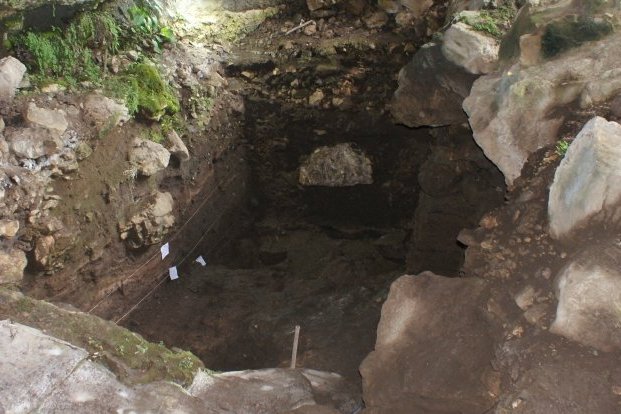 В грузинской пещере обнаружили древние фрагменты ДНК волка, зубра и человека, жившего около 25 тысяч лет назад
