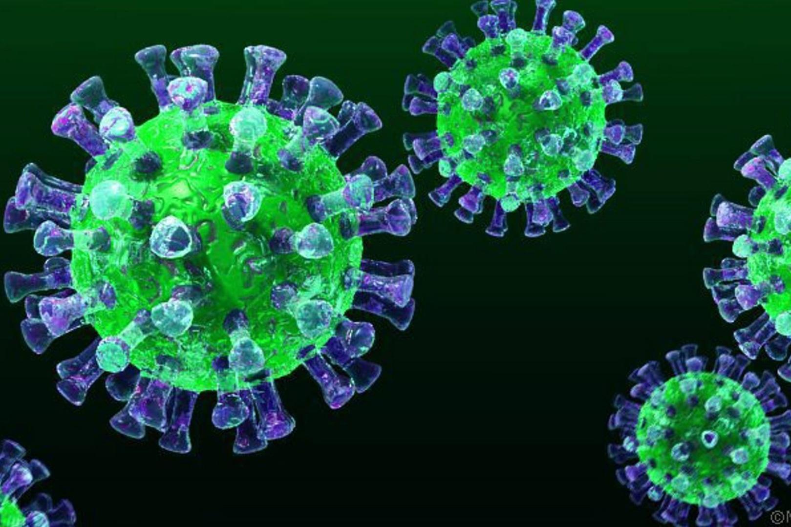 Ученым удалось запечатлеть на фото механизм размножения коронавируса
