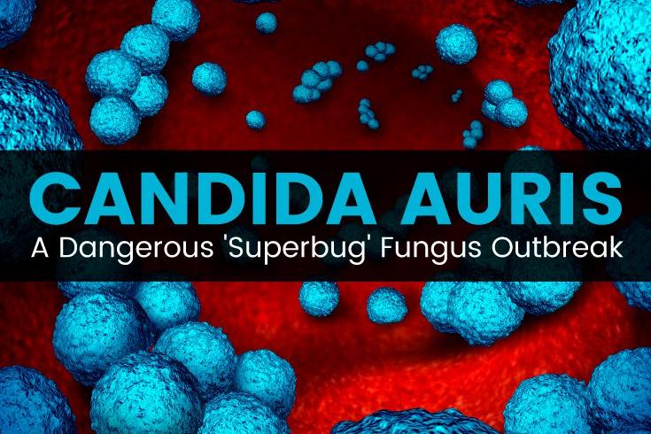 Смертельно опасный грибок Candida auris атаковал больницы по всему миру