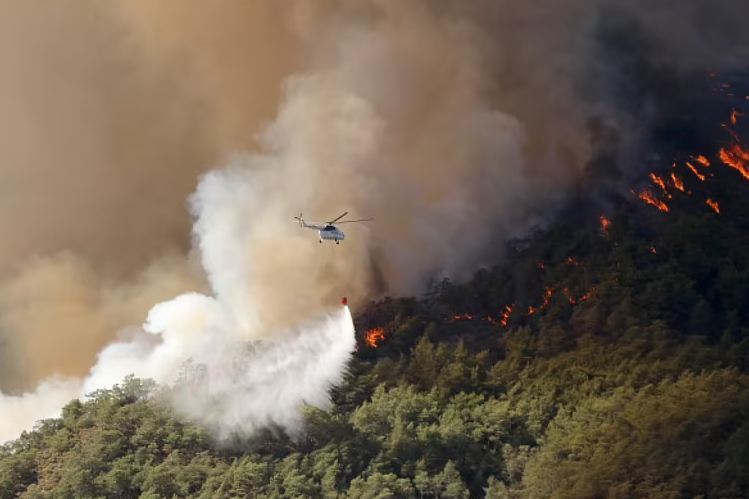В Турции 19 человек пострадали из-за лесных пожаров