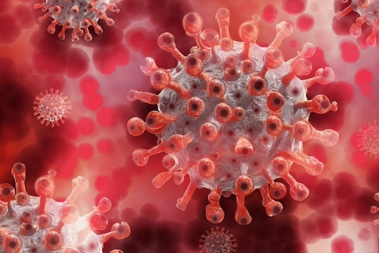 Изучение коронавируса в естественных условиях принесло сразу два открытия