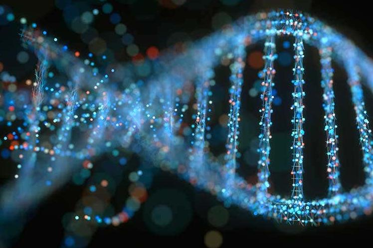 Путь к ограничению необратимых генетических поломок: ученые нашли источник восстановления ДНК