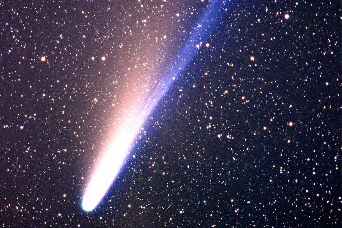 Будет видна невооруженным глазом: недавно открытая комета может стать самой яркой в 2021 году