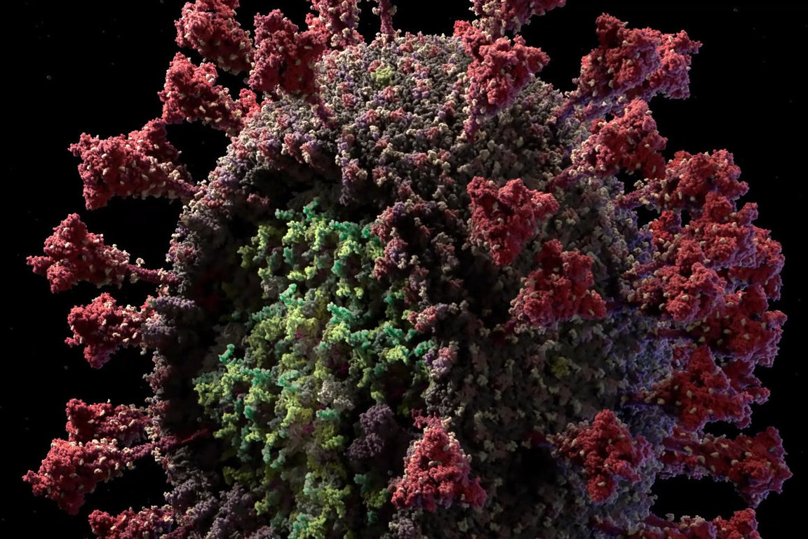 Создана самая детализированная и достоверная с научной точки зрения трехмерная модель коронавируса 