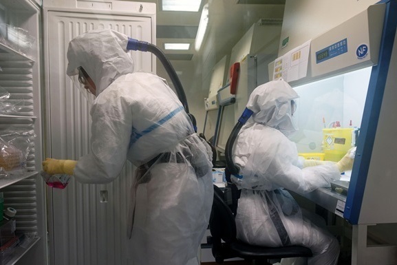 Китайские ученые заявили об успешных испытаниях инактивированной вакцины от коронавирусной инфекции на животных