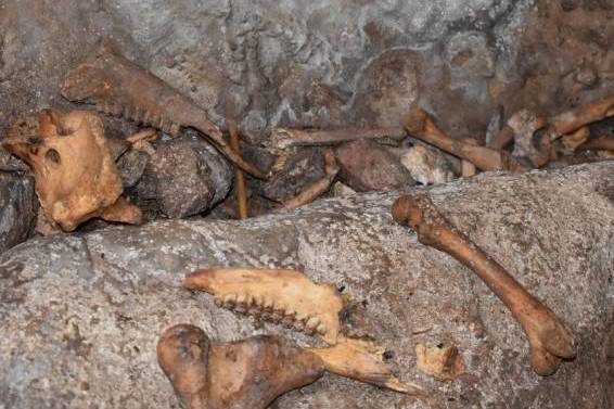 Новые археологические раскопки в Медвежьей пещере в Вайоц Дзоре привели к новым находкам  