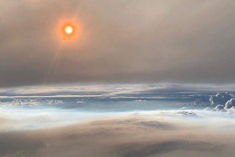 «Огненные облака» над лесным пожаром: в США сделали уникальные фотографии  