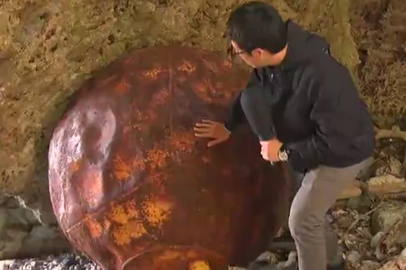 На побережье Японии нашли еще один загадочный металлический шар  