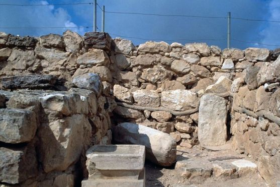 Хорошо сохранившиеся остатки канабиса найдены на алтаре при раскопках древнего иудейского храма в пустыне Негев