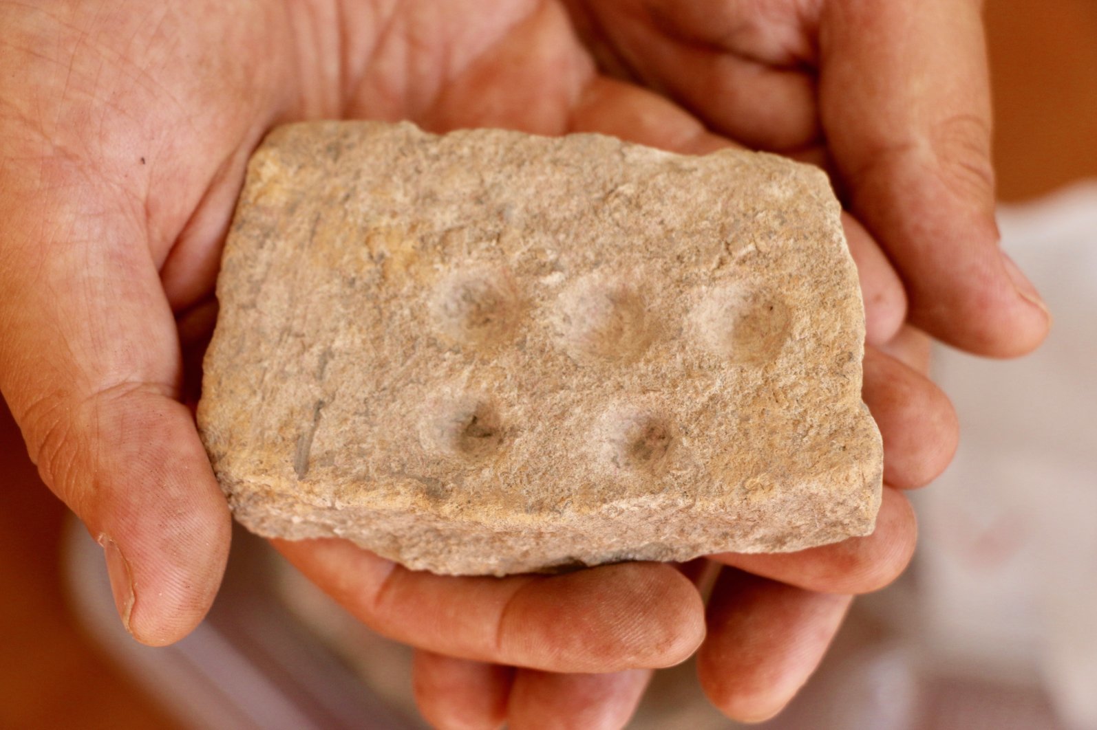 На территории Турции обнаружили палитру для красок возрастом в пять тысяч лет: это самый древний артефакт среди себе подобных в мире
