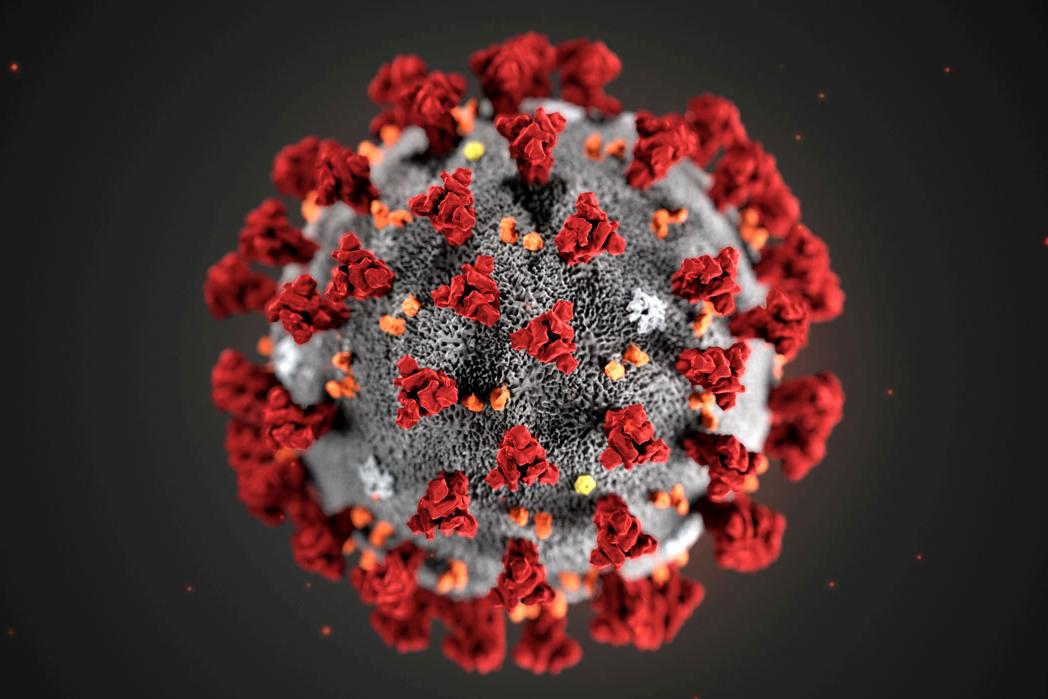 В России у двух человек обнаружили коронавирус из Китая