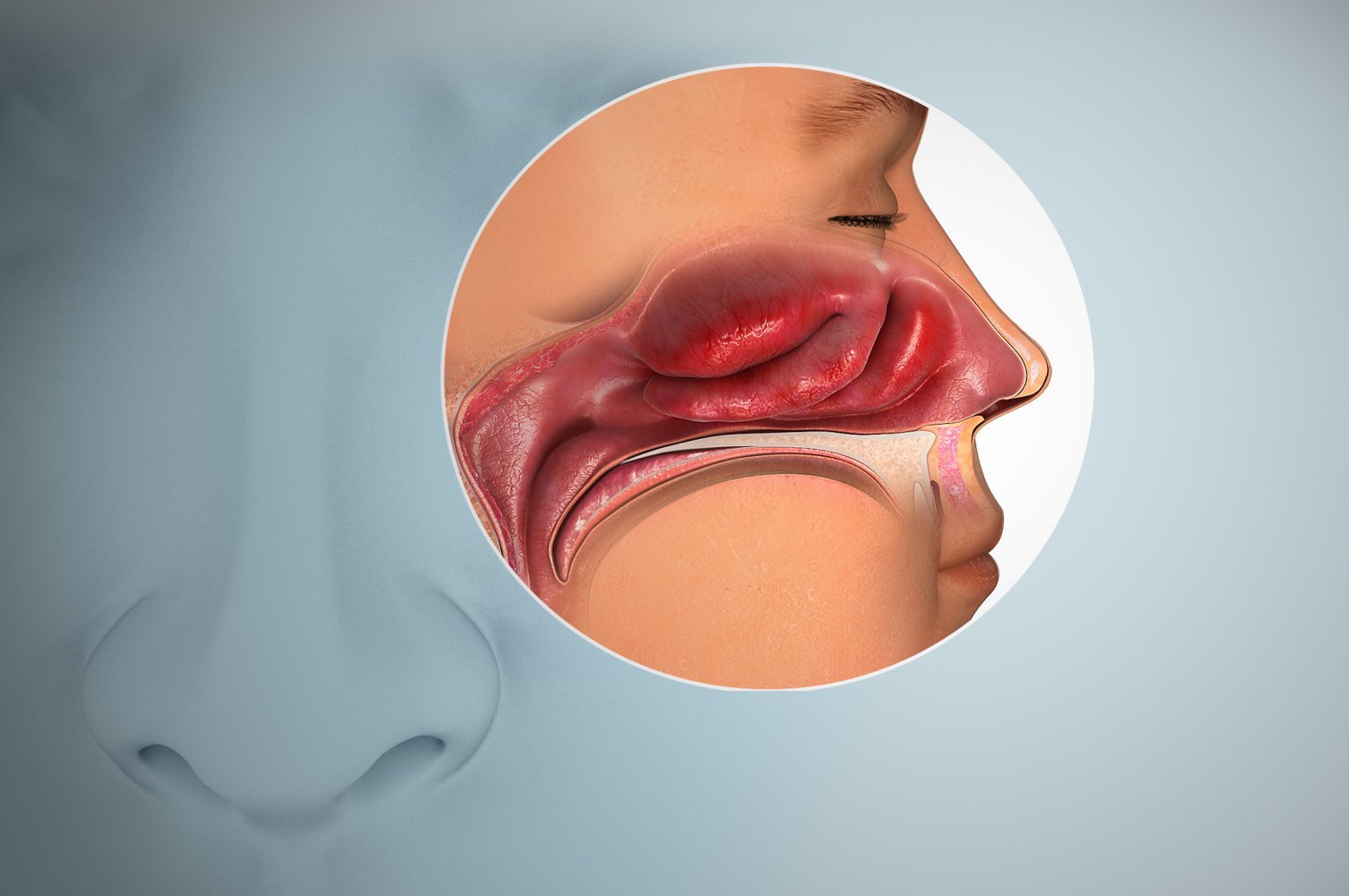 Почему больные COVID-19 не чувствуют запахи без заложенности носа: ученые разобрались в этом вопросе
