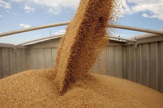За решение проблемы импорта пшеницы возьмется парламентская дипломатия