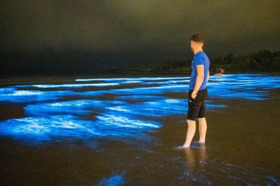 Редкое природное светошоу: волны на пляже в Ирландии засверкали благодаря биолюминесцентному планктону