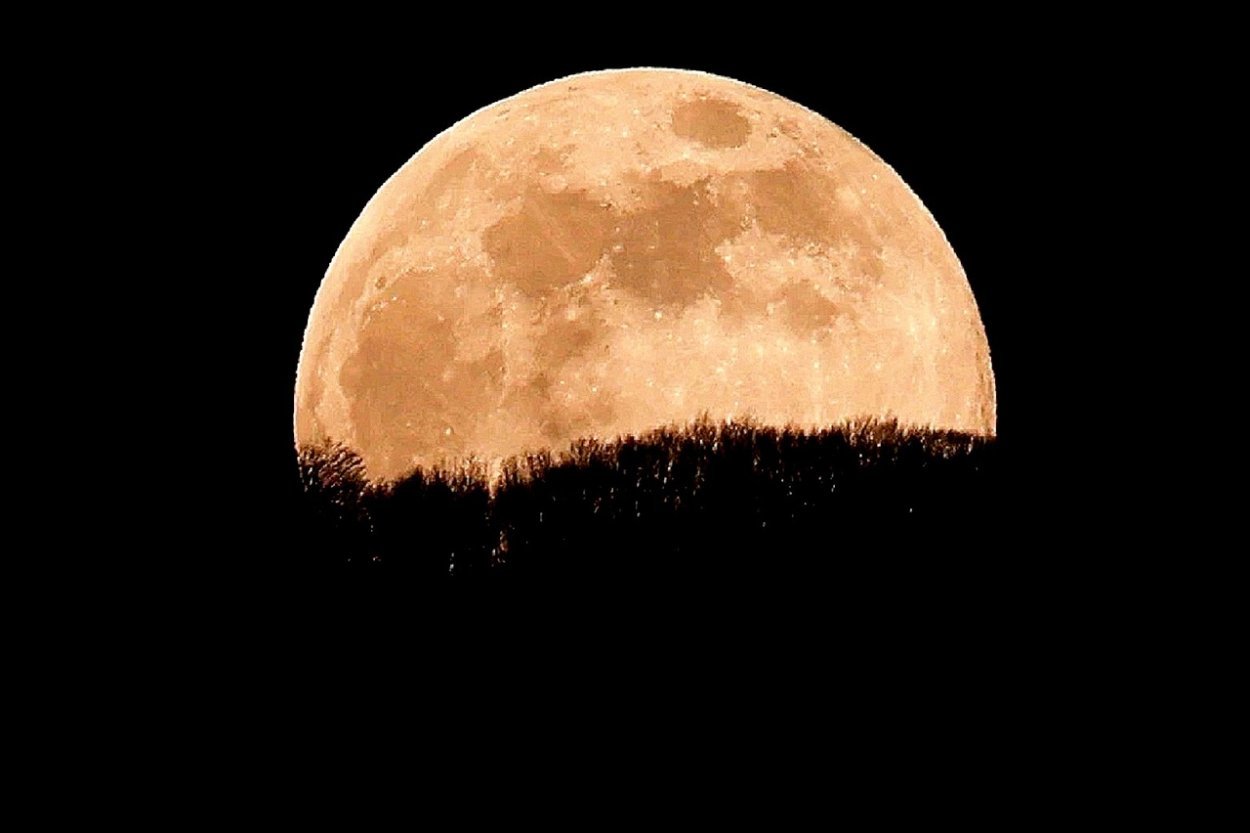 какая сейчас луна убывающая или раст фото 42