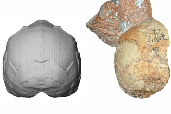 Ученые обнаружили самый ранний образец останков современных людей из тех, что были найдены за пределами Африки