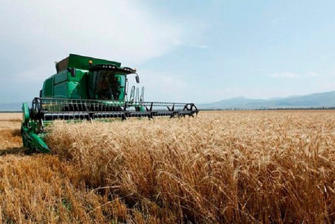 Կառավարությունը կսուբսիդավորի կամ կփոխհատուցի աշնանացան ցորենի սերմերի գինը