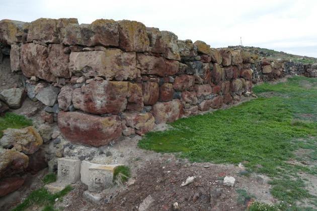 Загадочная и уникальная находка: в древнем городе-крепости Мецамор  археологи раскопали гробницу живших 3200 лет назад мужчины и женщины