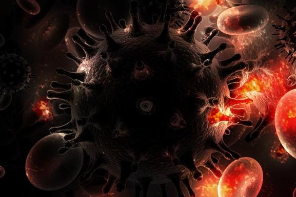 Личинки паразитических червей-шистосом блокируют заражение Т-лимфоцитов человека вирусом ВИЧ: выяснили исследователи 