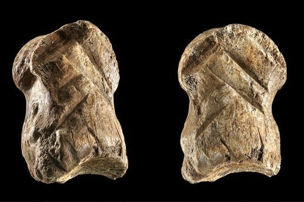 Древний художник вложил в свою работу много сил: сделанная неандертальцем гравировка на кости впечатлила ученых