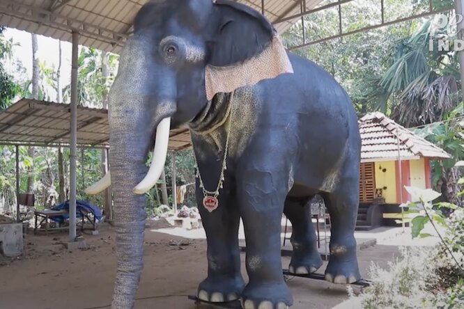В индусском храме заменили живого слона механической копией животного, подаренной зоозащитниками