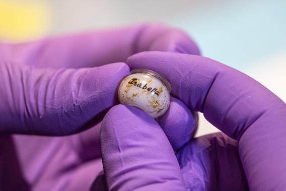 Новые драгоценности вместо бриллиантов: в Германии делают украшения из материнского молока, пуповины и плаценты
