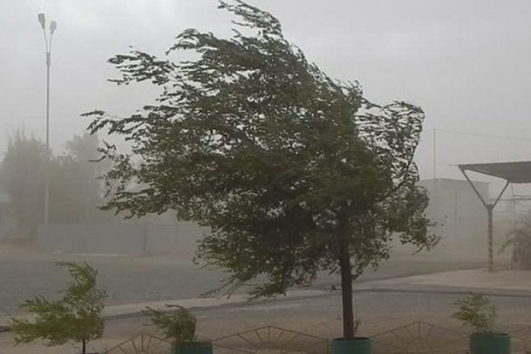 Погода в Армении: сильный ветер 