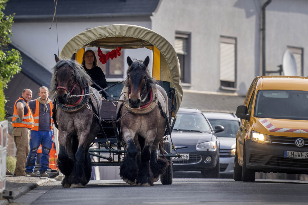 Жительница Германии отказалась от автомобиля и пересела на лошадь из-за роста цен на топливо