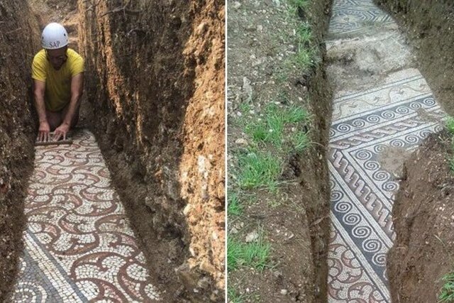 Римская мозаика третьего века обнаружена под виноградником недалеко от итальянской Вероны