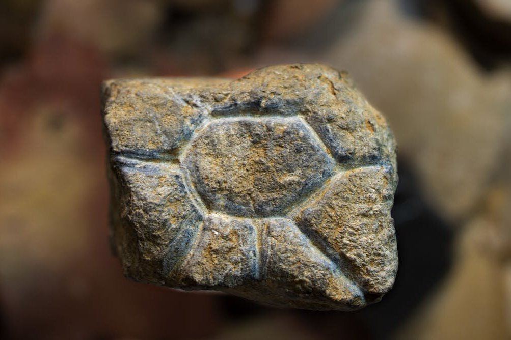 В Индонезии впервые нашли маленькие резные фигурки Ледникового периода: артефактам около 26 тысяч лет